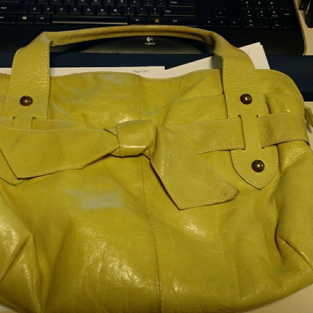 Lime green Roberta Gandolfi leather purse.
